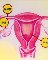 文山丹鳳人流醫(yī)院