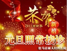 在丹鳳,圣誕、元旦